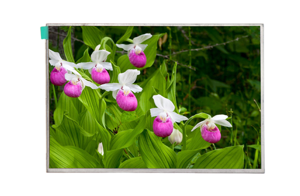 詳細介紹7寸lcd液晶顯示屏的幾大特點【海飛智顯】-lcd液晶顯示屏廠家 詳細介紹7寸lcd液晶顯示屏的幾大特點【海飛智顯】-lcd液晶顯示屏廠家